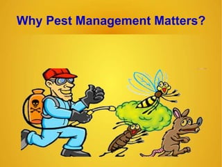 Why Pest Management Matters?
 