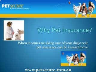When it comes to taking care of your dog or cat,
pet insurance can be a smart move.
www.petsecure.com.au
 