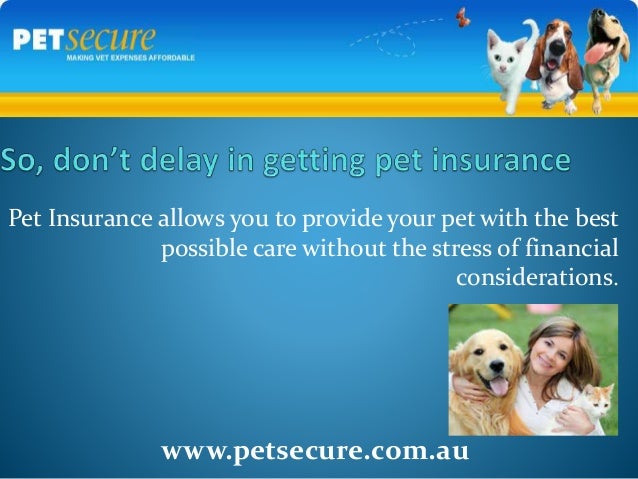 Why pet insurance required for your Pets