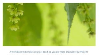 A workplace that makes you feel good, so you are more productive & efficient
 