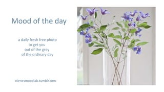 Mood of the day

  a daily fresh free photo
         to get you
      out of the grey
    of the ordinary day




 nienesmoodlab.tumblr.com
 