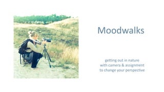 Moodwalks

    getting out in nature
with camera & assignment
to change your perspective
 