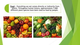 Food : Everything we eat comes directly or indirectly from
plants. Throughout human history, approximately 7,000
different plant species have been used as food by people.
 