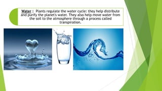 Water : Plants regulate the water cycle: they help distribute
and purify the planet's water. They also help move water from
the soil to the atmosphere through a process called
transpiration.
 
