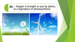 Air : Oxygen is brought to you by plants,
as a byproduct of photosynthesis.
 