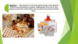 Medicine : One-quarter of all prescription drugs come directly
from or are derivatives of plants. Additionally, four out of five
people around the world today rely on plants for primary health
care.
 