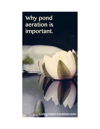 Why Pond Aeration is important