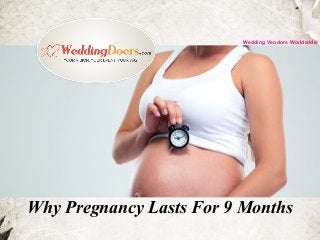 Why Pregnancy Lasts For 9 Months
Wedding Vendors Worldwide
 