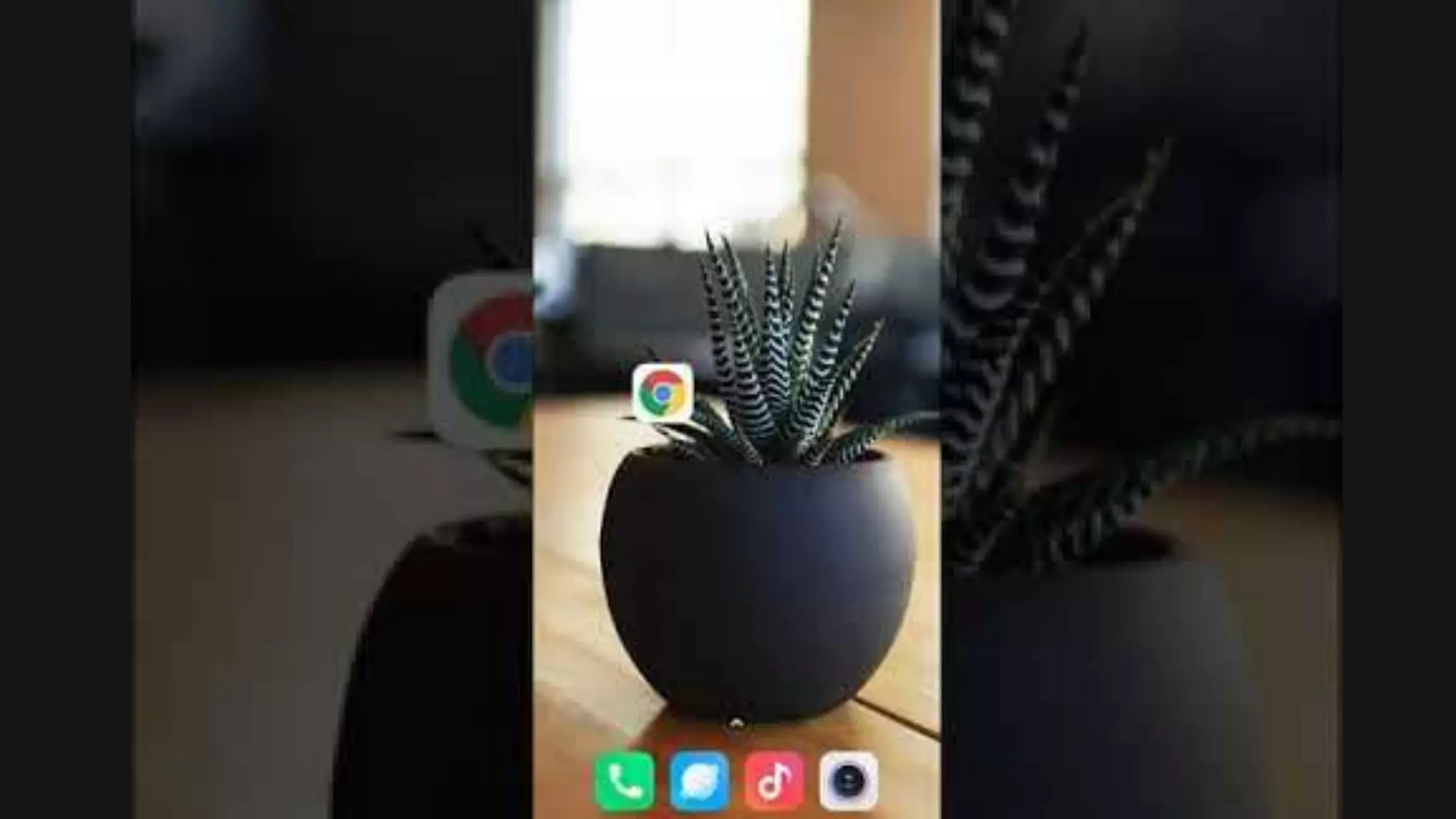 Accept Push Notification
 