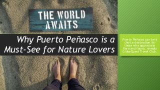 Why Puerto Peñasco is a
Must-See for Nature Lovers
Puerto Peñasco can be a
choice destination for
those who appreciate
flora and fauna, reveals
GlobeQuest Travel Club.
 