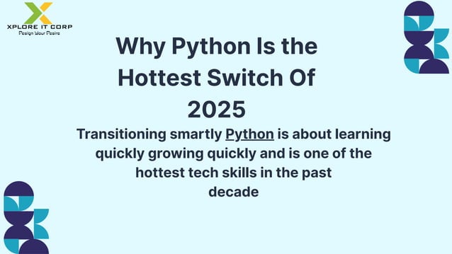 Why Python Is the Hottest Switch of 2025!.pdf