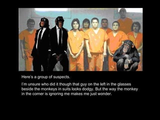 Here’s a group of suspects. I’m unsure who did it though that guy on the left in the glasses beside the monkeys in suits looks dodgy. But the way the monkey in the corner is ignoring me makes me just wonder. 