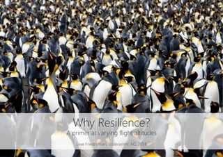 Why Resilience?
A primer at varying flight altitudes

Uwe Friedrichsen, codecentric AG, 2014
 