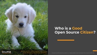 Copyright (c) 2018, Eclipse Foundation, Inc. | Made available under the Eclipse Public License 2.0 (EPL-2.0)
Who is a Good
Open Source Citizen?
By JacLou DL, CC0 Creative Commons,
https://pixabay.com/photo-2645966/
 