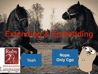 Extending & Embedding 
https://flic.kr/p/9AeqD2 
Yeah 
Nope. ! 
Only Cgo 
 