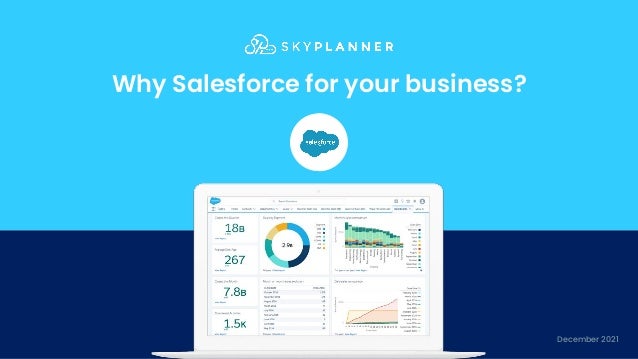 Why salesforce for your business | PDF