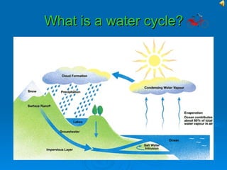 What is a water cycle?
 