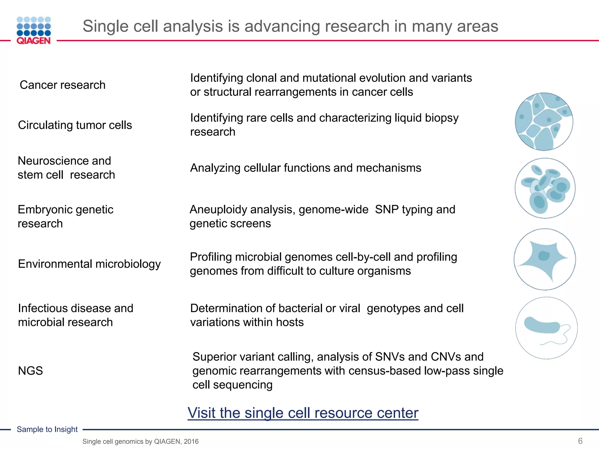 Why Scientist Analyze Single Cells | PDF