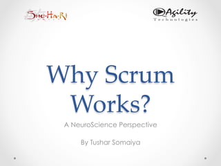 Why  Scrum  
Works?	
A NeuroScience Perspective
By Tushar Somaiya
 