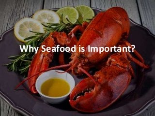 Why Seafood is Important? 
 