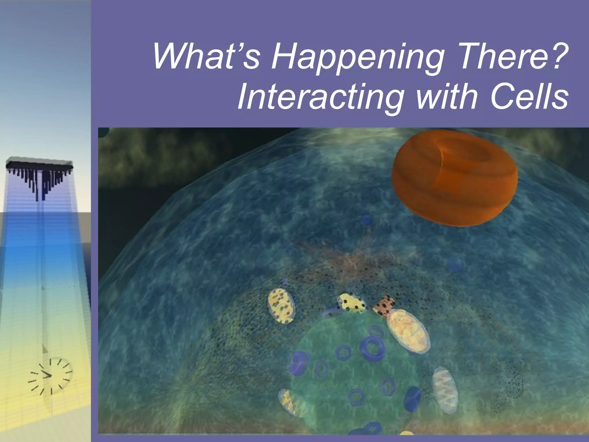 What’s Happening There? Interacting with Cells 