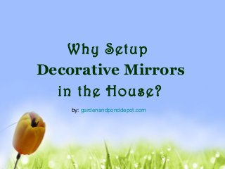 Why Setup
Decorative Mirrors
in the House?
by: gardenandponddepot.com
 