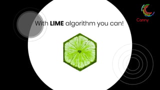 With LIME algorithm you can!
 