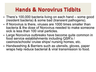 Resident Pathogens Why Should I Want To Use Different Gloves in Food Service | PPT