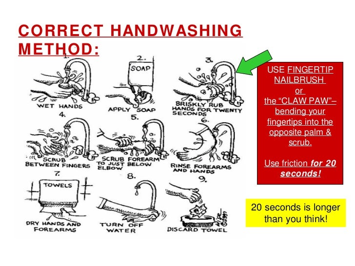 Fda Food Service Glove Use Fda Food Service Glove Use
