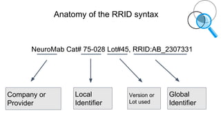 Anatomy of the RRID syntax
NeuroMab Cat# 75-028 Lot#45, RRID:AB_2307331
Company or
Provider
Local
Identifier
Version or
Lot used
Global
Identifier
 