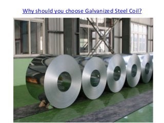 Why should you choose Galvanized Steel Coil? 
 