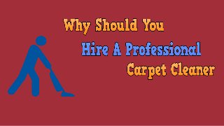 Why Should You Hire A
Professional Carpet Cleaner?
 