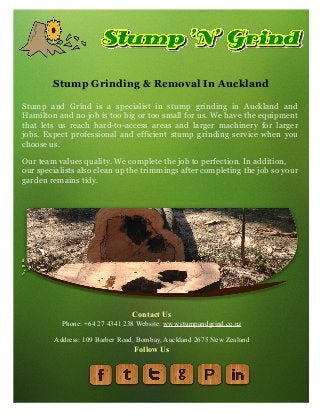 Stump Grinding & Removal In Auckland
Stump and Grind is a specialist in stump grinding in Auckland and
Hamilton and no job is too big or too small for us. We have the equipment
that lets us reach hard-to-access areas and larger machinery for larger
jobs. Expect professional and efficient stump grinding service when you
choose us.
Our team values quality. We complete the job to perfection. In addition,
our specialists also clean up the trimmings after completing the job so your
garden remains tidy.
Contact Us
Phone: +64 27 4341 238 Website: www.stumpandgrind.co.nz
Address: 109 Barber Road, Bombay, Auckland 2675 New Zealand
Follow Us
 