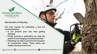 Why Should You Pollard Your Tree with a Reputable Tree Surgeon.pptx
