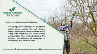 Why Should You Pollard Your Tree with a Reputable Tree Surgeon.pptx