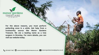 Why Should You Pollard Your Tree with a Reputable Tree Surgeon.pptx