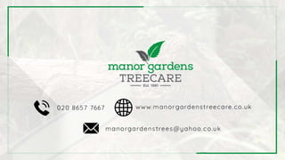 Why Should You Pollard Your Tree with a Reputable Tree Surgeon.pptx
