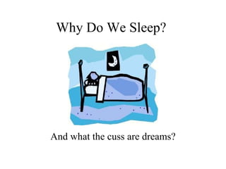 Why Do We Sleep? And what the cuss are dreams for? 