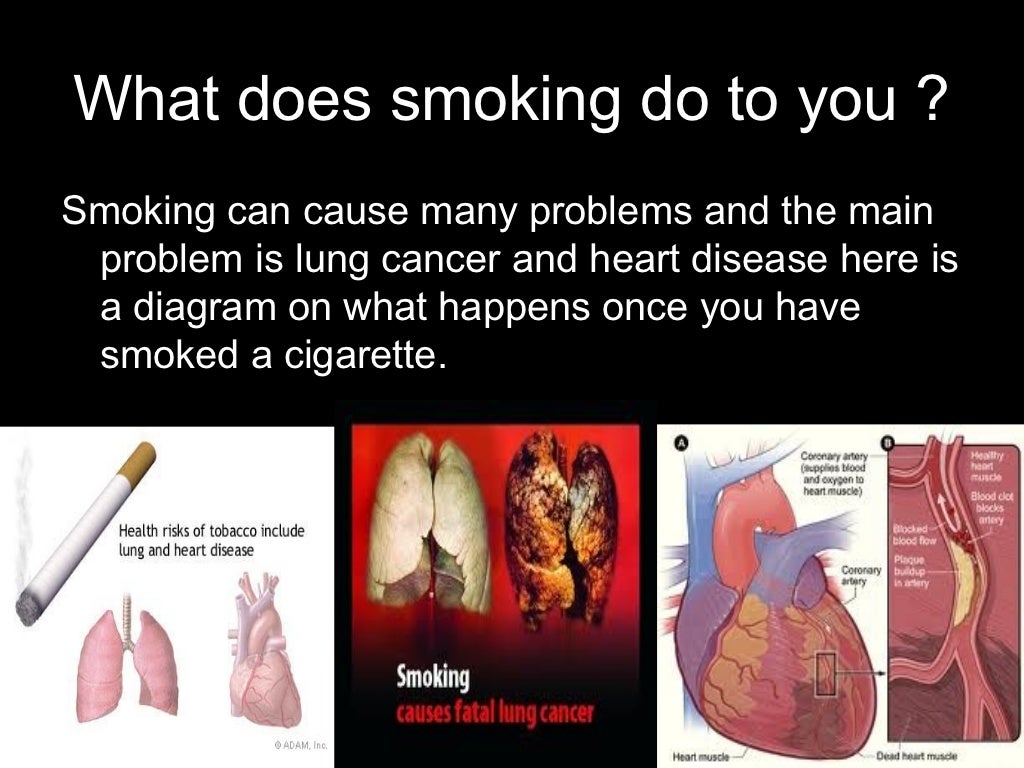 do you think smoking should be illegal essay