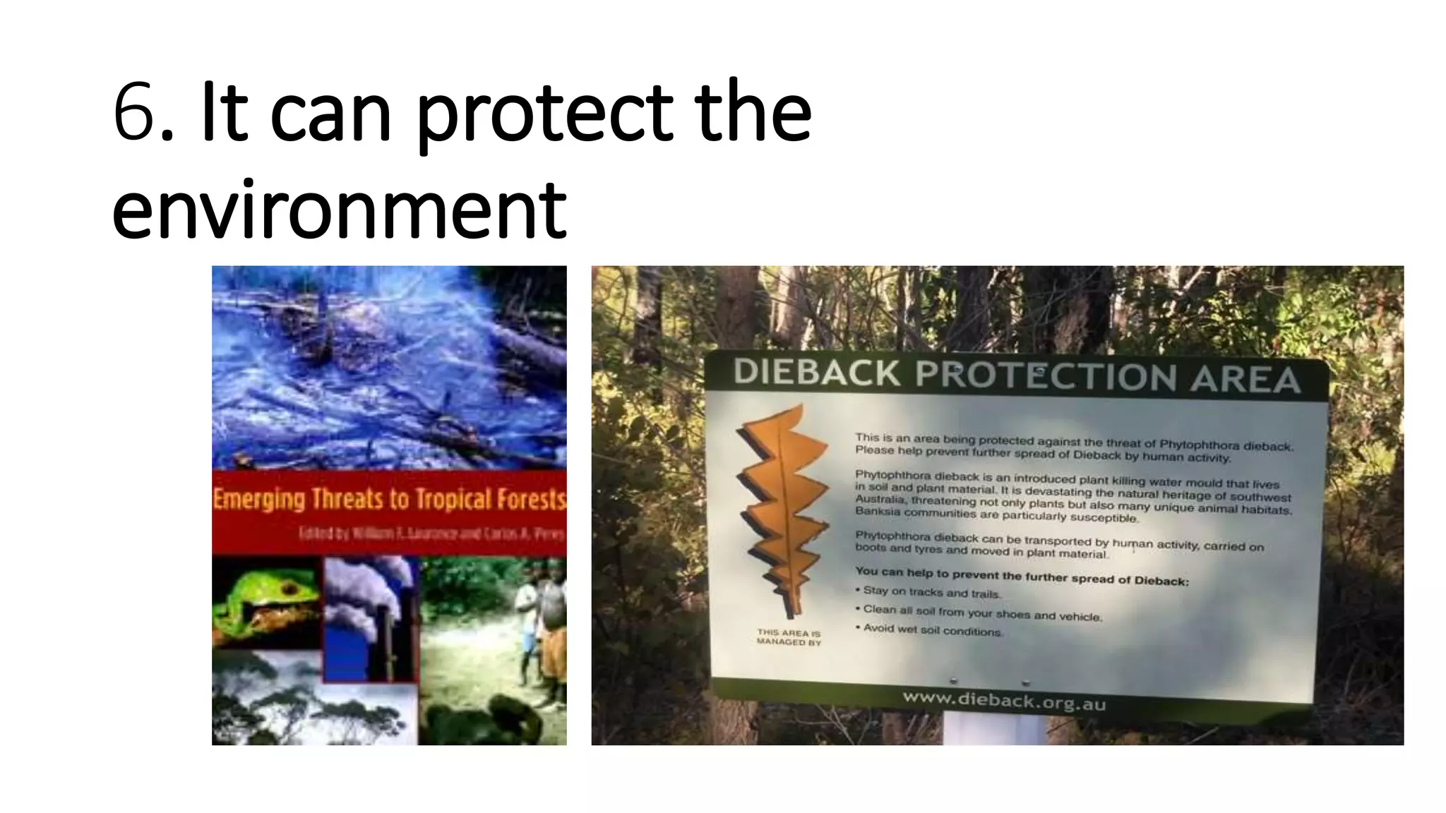 6. It can protect the
environment
 