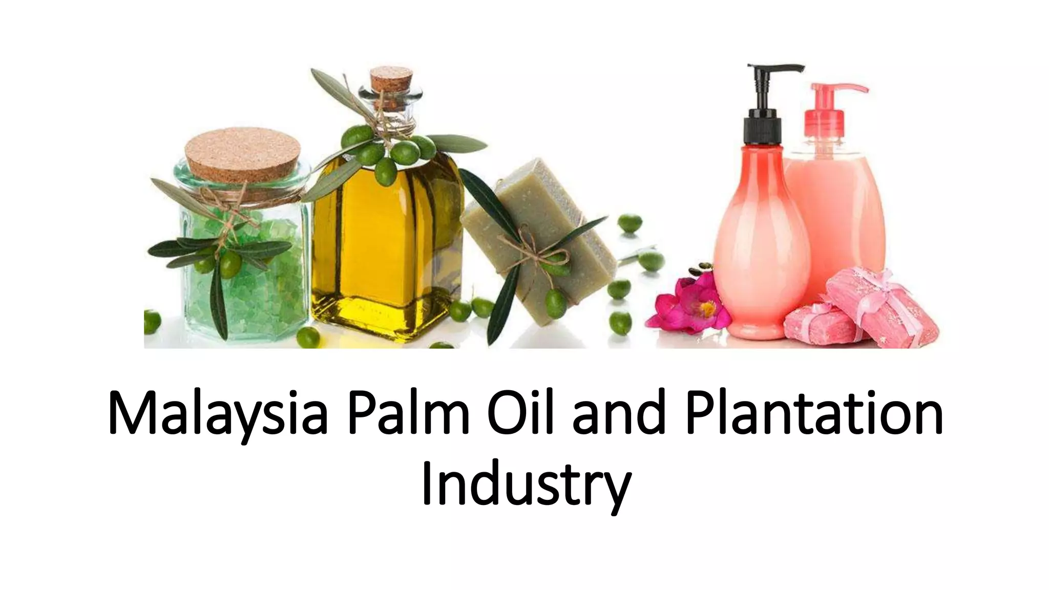 Malaysia Palm Oil and Plantation
Industry
 