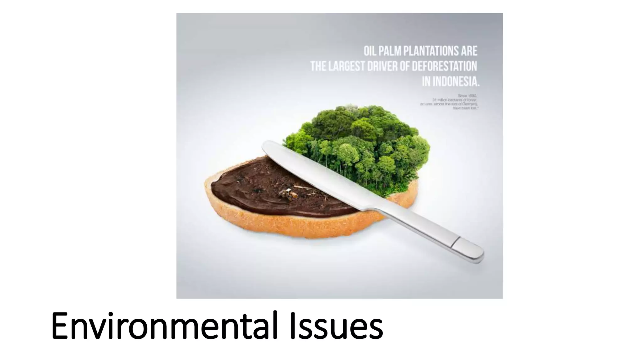 Environmental Issues
 