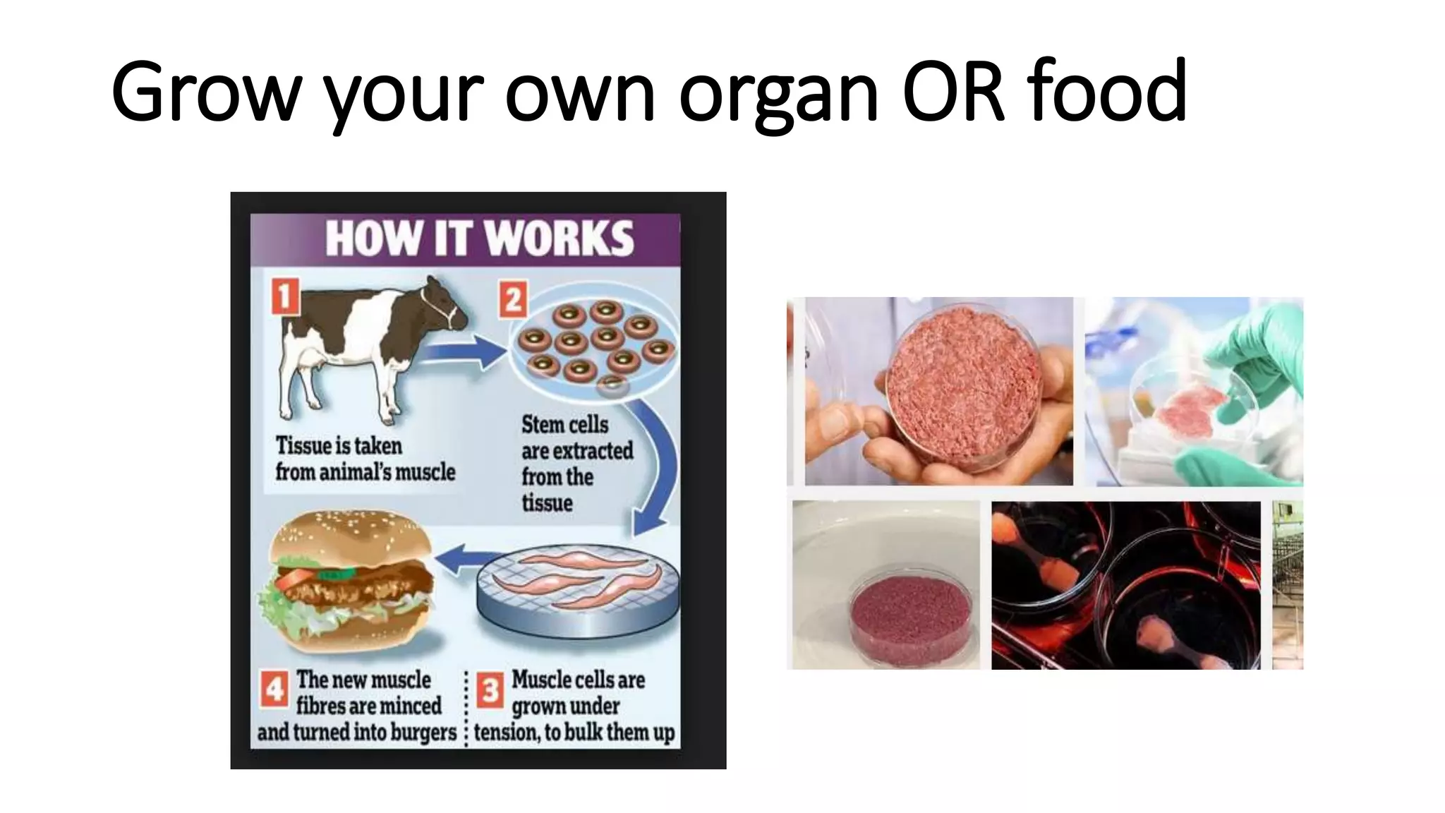 Grow your own organ OR food
 