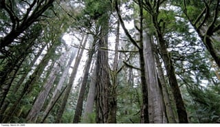 Why you should study Geography