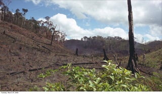 Why you should study Geography