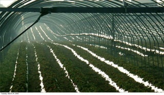 Why you should study Geography