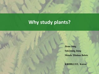 Why study plants?
Jieun Jang
Sukyoung Jung
Mesele Tilahun Belete
KRIBB,UST, Korea
 
