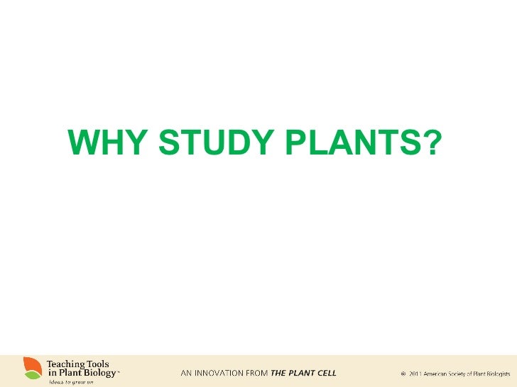 why-study-plants