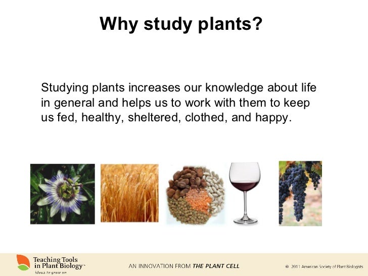 Why study plants?
