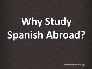 Why Study Spanish Abroad? from www.donquijote.org 